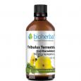 TRIBULUS TERRESTRIS ERDBURZELDORN Tinktur