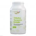 TRIBULUS TERRESTRIS EXTRAKT 500 mg Kapseln