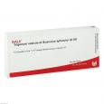 TRIGONUM vesicae et Musculus sphincter GL D 8 Amp.