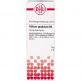 TRILLIUM PENDULUM D 6 Dilution