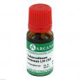 TUBERCULINUM BOVINUM LM 120 Dilution