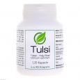 TULSI OCIMUM sanctum 400 mg Hartkapseln