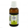 TUSSILAGO F Komplex 100 Dilution