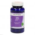 URO-FIT GPH Kapseln