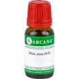 URTICA URENS LM 4 Dilution