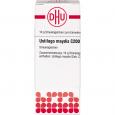 USTILAGO MAYDIS C 200 Globuli