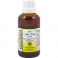 UVA URSI KOMPLEX Nr.26 Dilution
