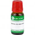 VACCINIUM vitis-idaea LM 15 Dilution