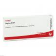 VAGINA GL D 5 Ampullen