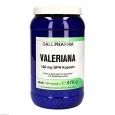 VALERIANA 120 mg GPH Kapseln