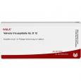 VALVULA tricuspidalis GL D 12 Ampullen