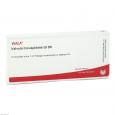VALVULA tricuspidalis GL D 8 Ampullen