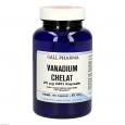 VANADIUM CHELAT 25 μg GPH Kapseln