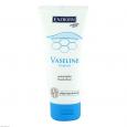 VASELINE ENZBORN