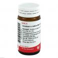 VERATRUM E radice D 6 Globuli
