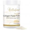 VERISOL Collagen Peptide Pulver