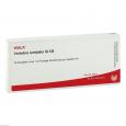VERTEBRA lumbalis GL D 8 Ampullen