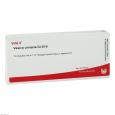 VESICA URINARIA GL D 15 Ampullen