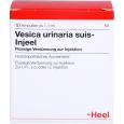 VESICA URINARIA suis-Injeel Ampullen