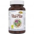 VITAL-PILZE Kapseln