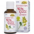 WEINRAUTE Compositum Alchemistische Essenz