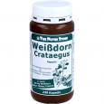 WEISSDORN 500 mg Kapseln