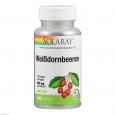 WEISSDORNBEEREN Solaray Kapseln