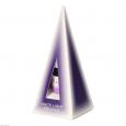 WHITE LIGHT Higher Self Essence Tropfen