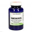 YAMSWURZEL 500 mg GPH Kapseln