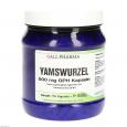 YAMSWURZEL 500 mg GPH Kapseln