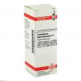 YOHIMBINUM HYDROCHLORICUM D 4 Dilution