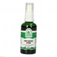 ZIMTZWEIGE Spray
