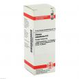ZINCUM METALLICUM D 6 Dilution