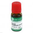 ZINCUM METALLICUM LM 18 Dilution