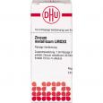 ZINCUM METALLICUM LM XXX Dilution