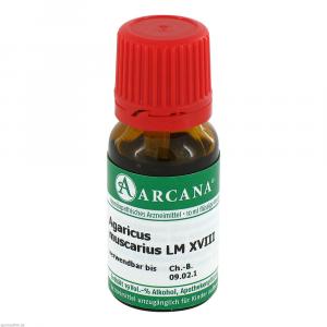 AGARICUS MUSCARIUS LM 18 Dilution