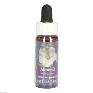 ALMOND FES kalifornische Blütenessenz Tropfen