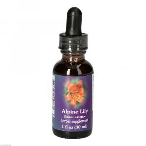 ALPINE LILY FES kalifornische Blütenessenz Tropfen