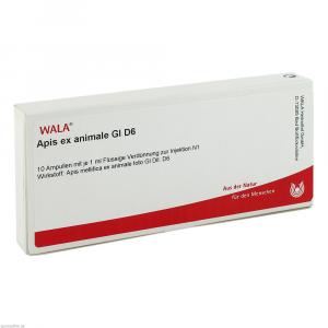 APIS EX animale GL D 6 Ampullen