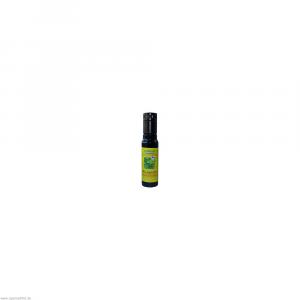 ARGANÖL BIO Premium 100% Rohkost Violettglas