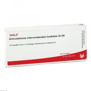 ARTICULATIONES intervertebral.lumb.GL D 8 Ampullen