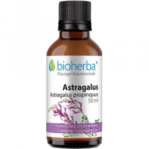 ASTRAGALUS TINKTUR