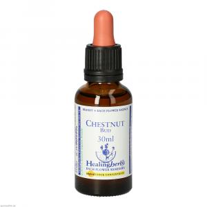 BACHBLÜTEN Chestnut Bud Healing Herbs Tropfen