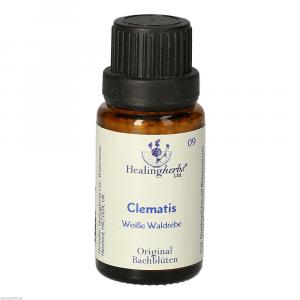 BACHBLÜTEN Clematis Globuli Healing Herbs