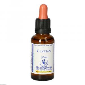 BACHBLÜTEN Gentian Healing Herbs Tropfen
