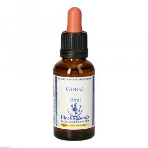 BACHBLÜTEN Gorse Healing Herbs Tropfen
