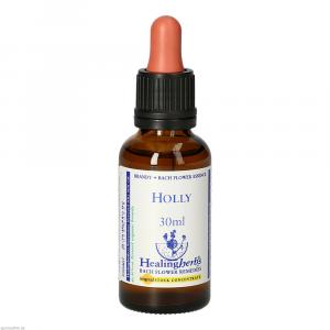 BACHBLÜTEN Holly Healing Herbs Tropfen