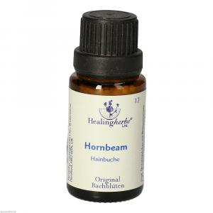 BACHBLÜTEN Hornbeam Globuli Healing Herbs