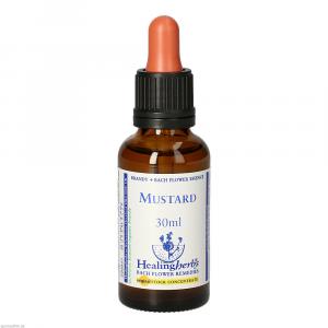BACHBLÜTEN Mustard Healing Herbs Tropfen