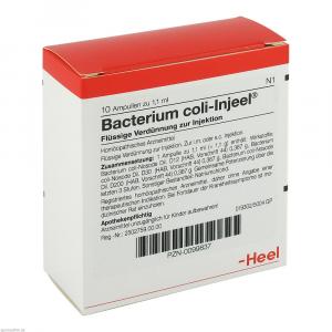 BACTERIUM COLI Injeel Ampullen